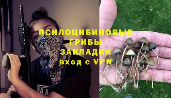 метамфетамин Белокуриха