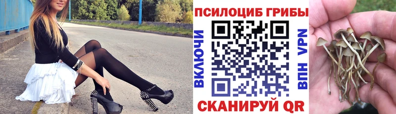 Галлюциногенные грибы Psilocybe  что такое наркотик  блэк спрут рабочий сайт  Мариинский Посад 